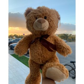 PELUCHE OSO BROWNY 37 CM